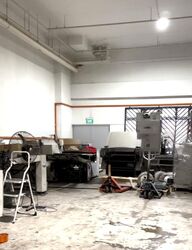 Mandai Connection (D25), Factory #477995301